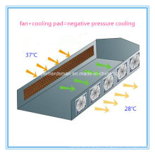 High Efficiency Poultry Equipment Evapotative Water Cooling Pad